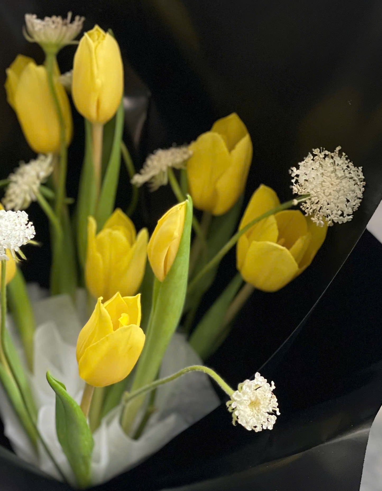 Tulip 2