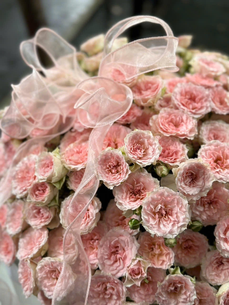 Pink 9