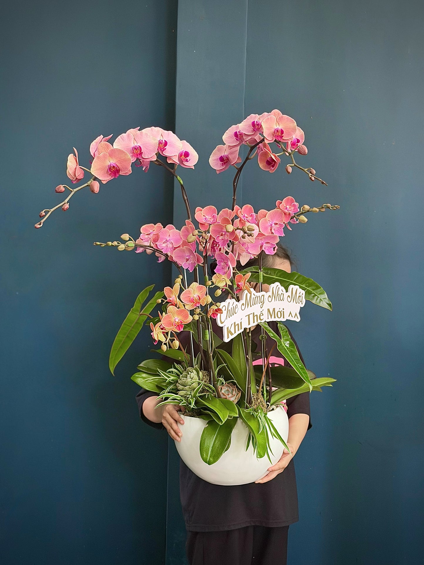 Pink orchid