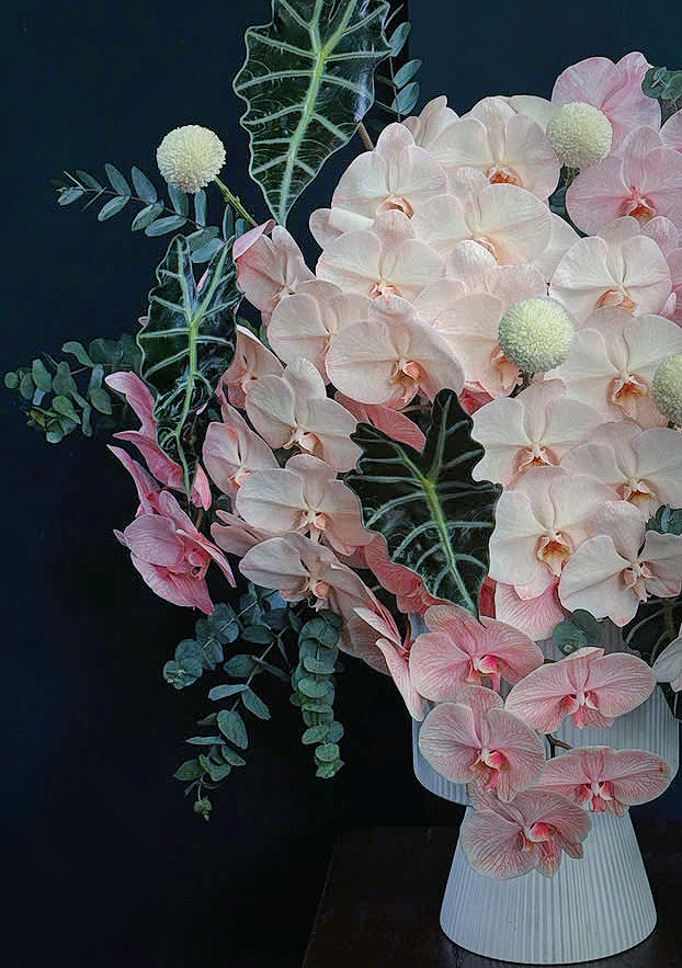 Pink 8