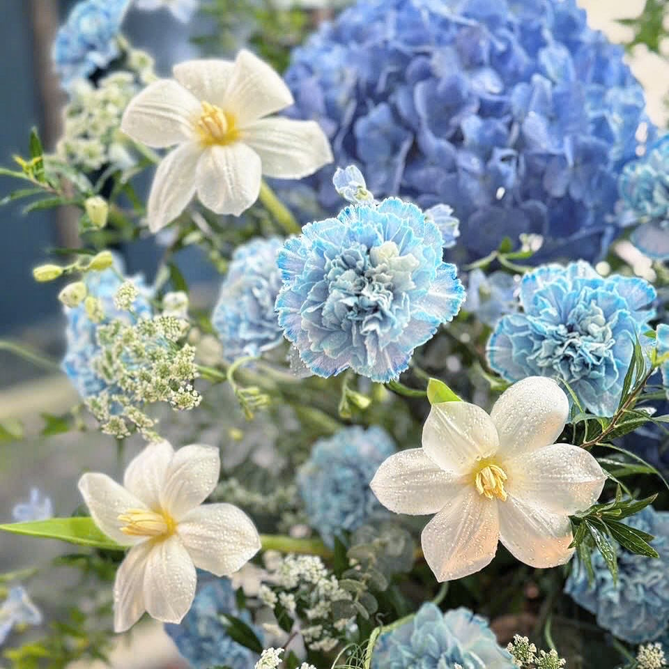 Blue 1