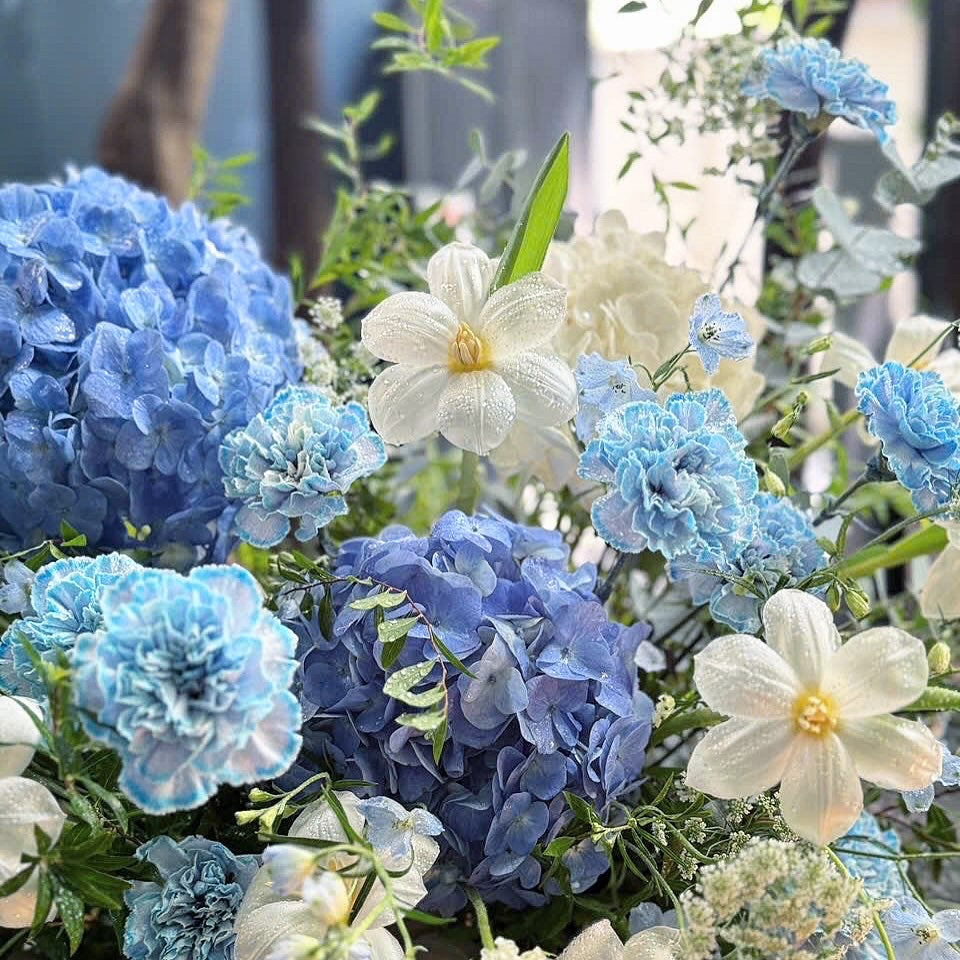 Blue 1