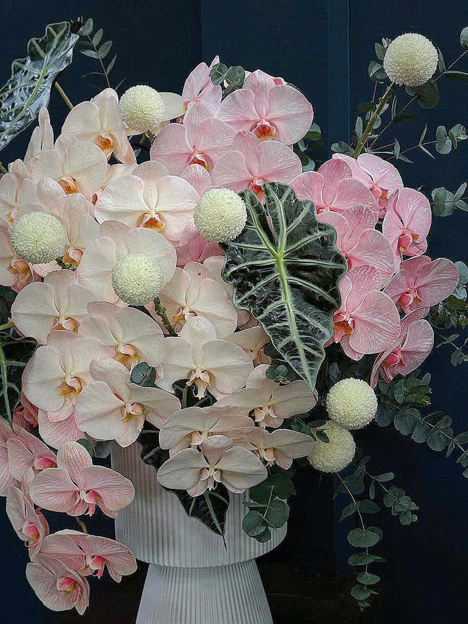 Pink 8