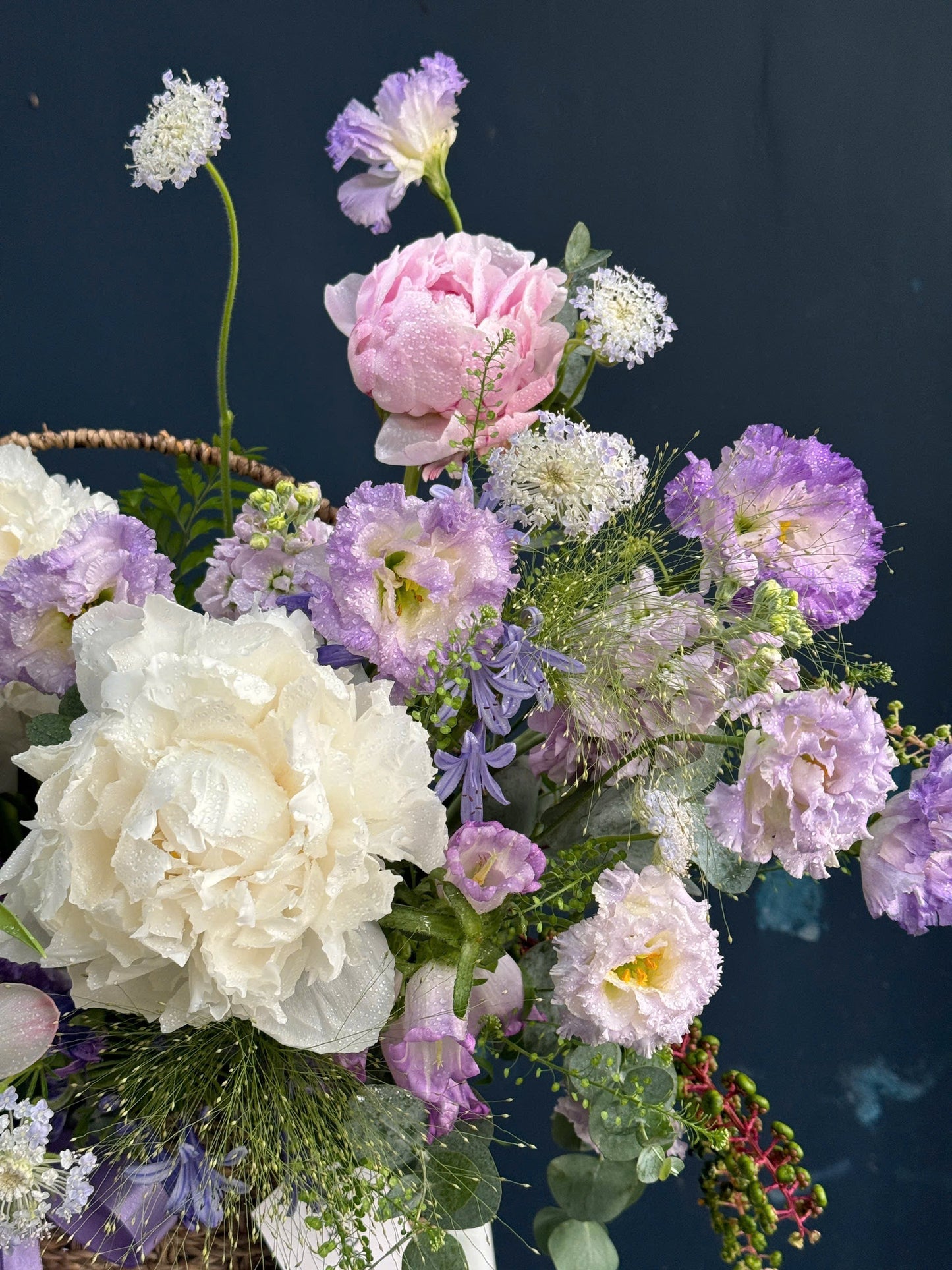 Peony 4