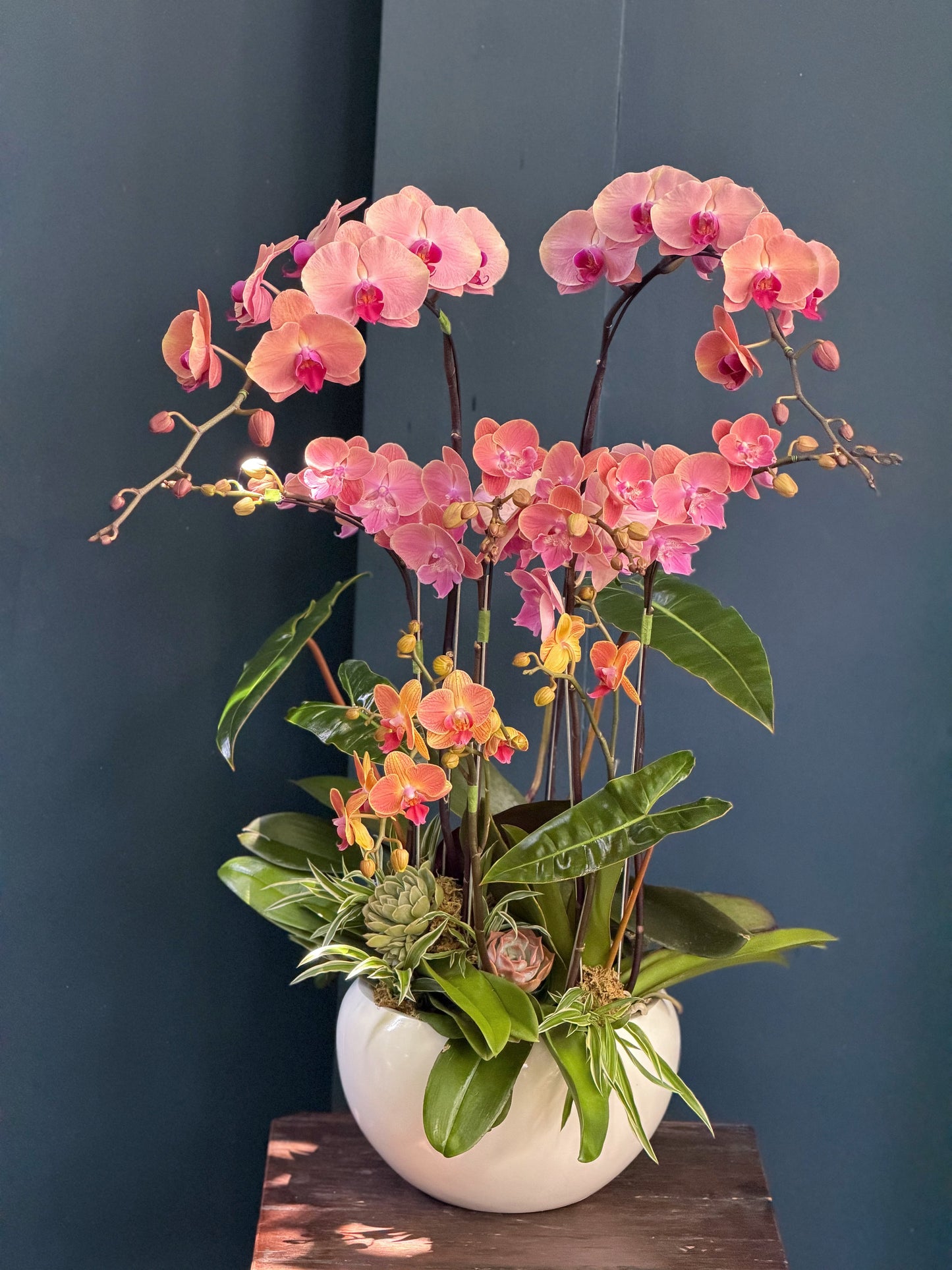 Pink orchid