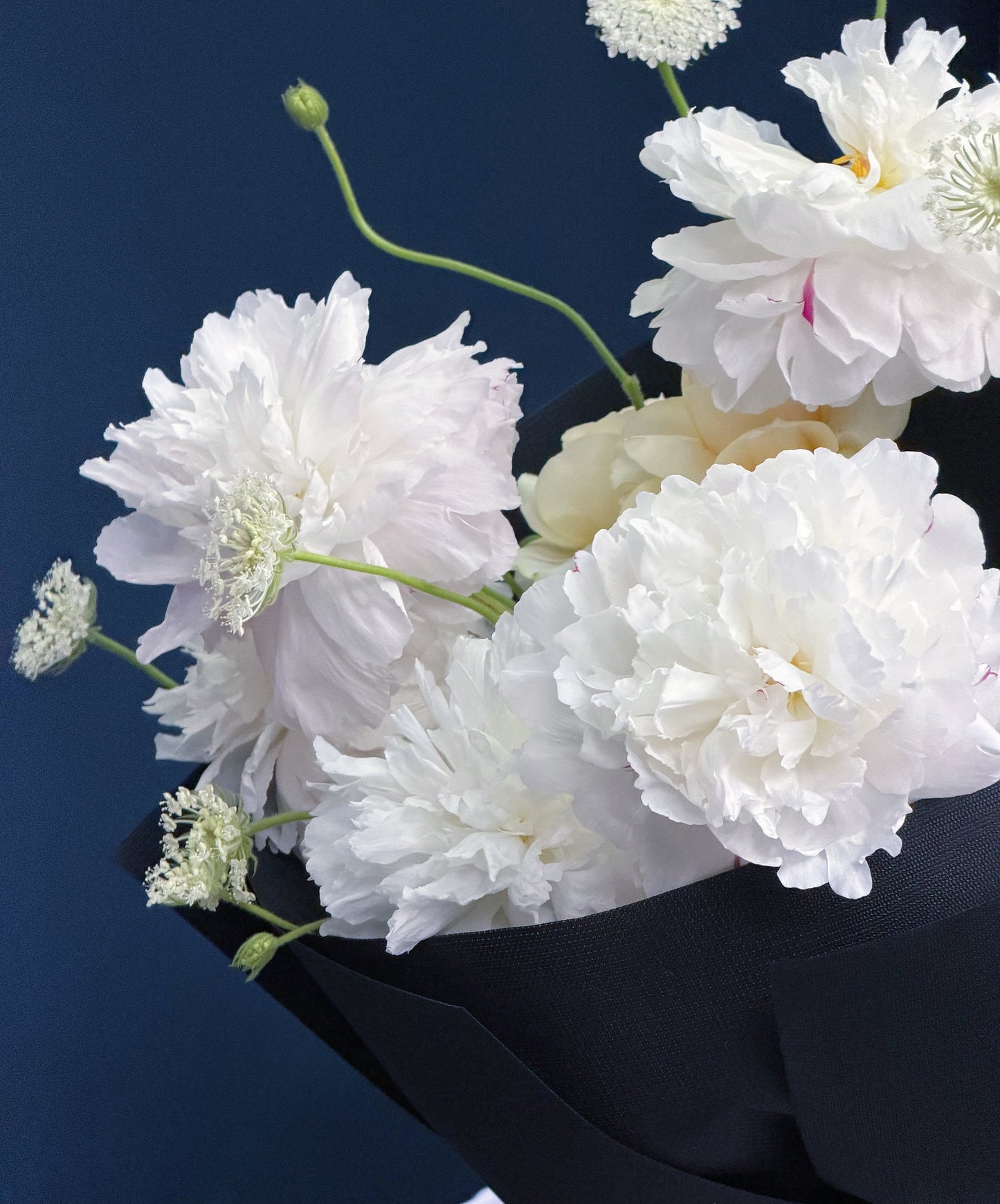 A pure elegance blooming