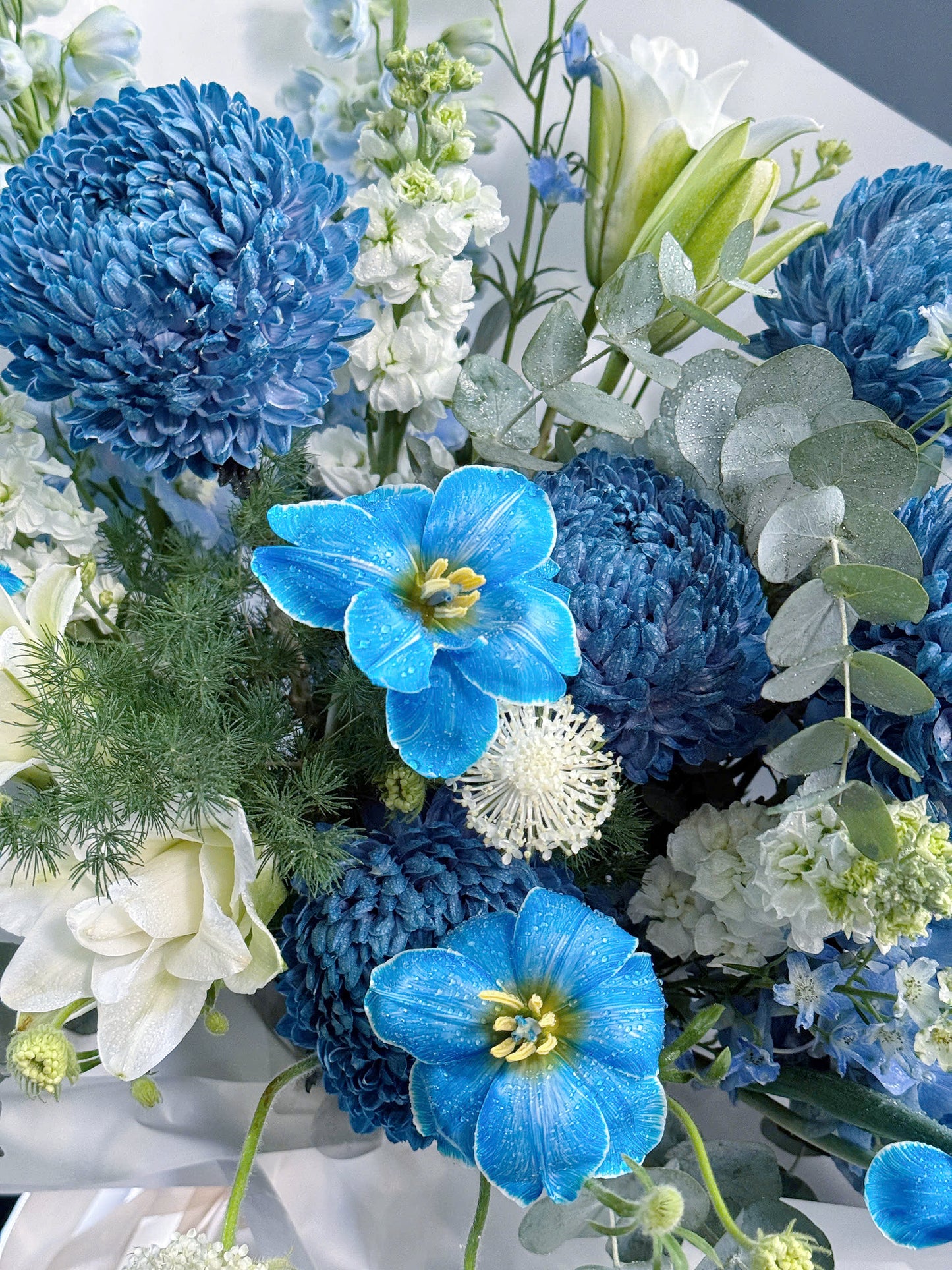 Blue 4