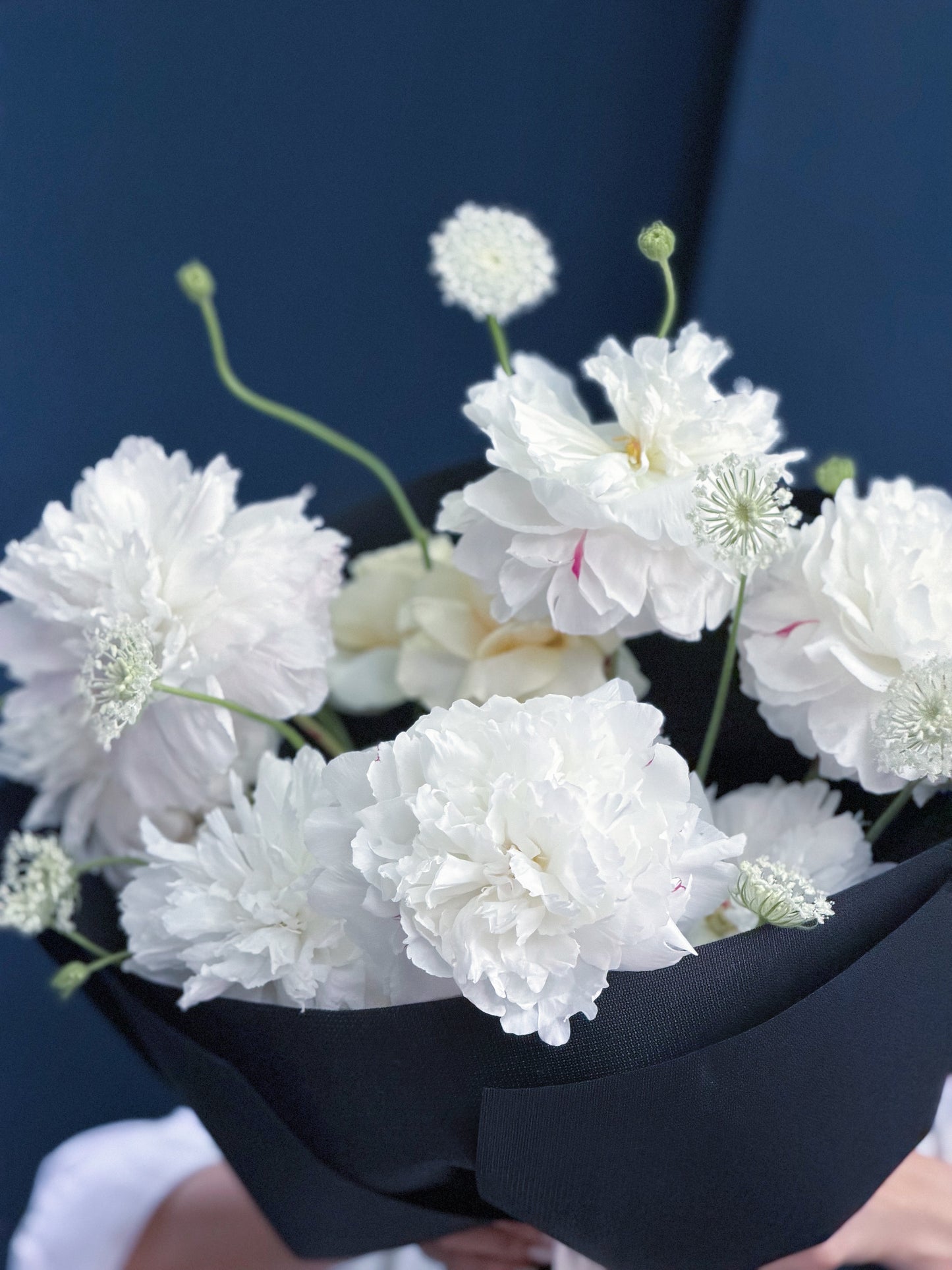 A pure elegance blooming