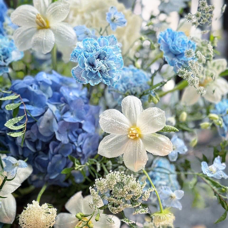 Blue 1