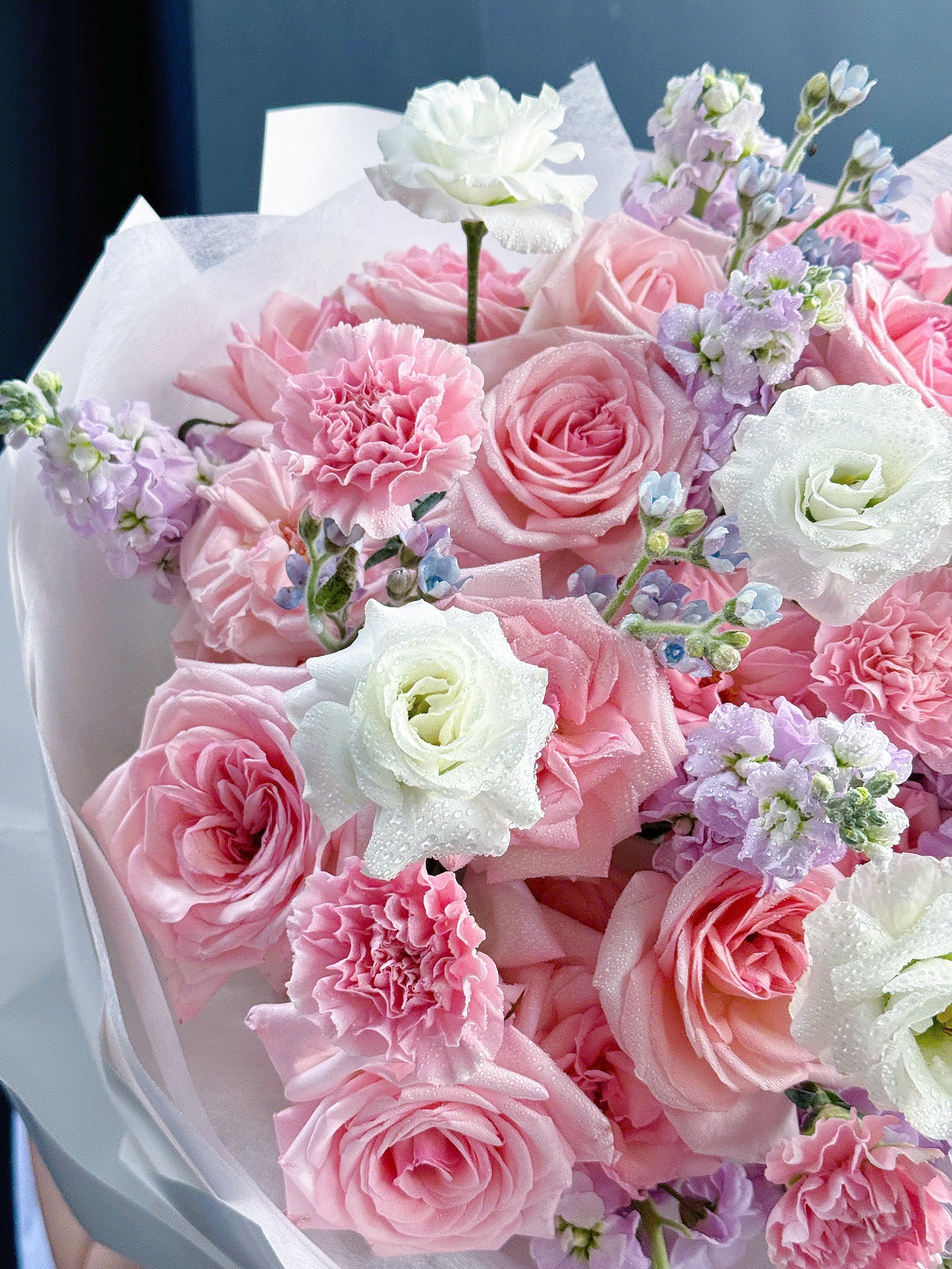 Pink 11