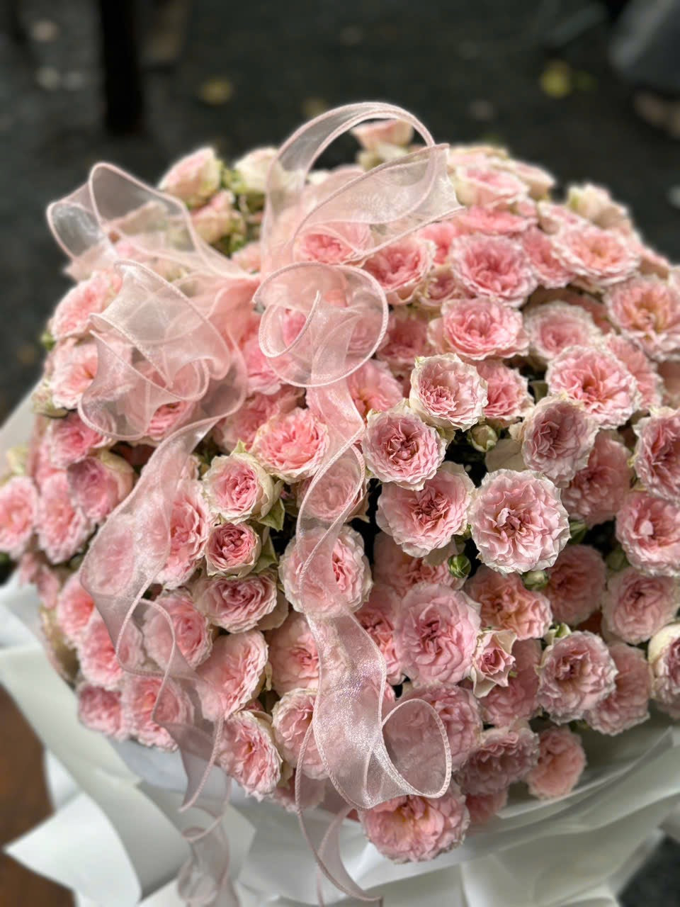 Pink 9