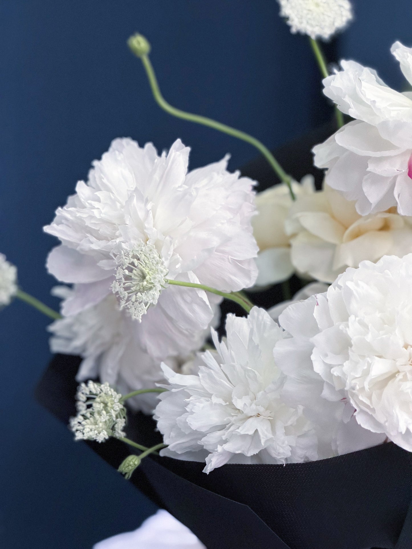 A pure elegance blooming