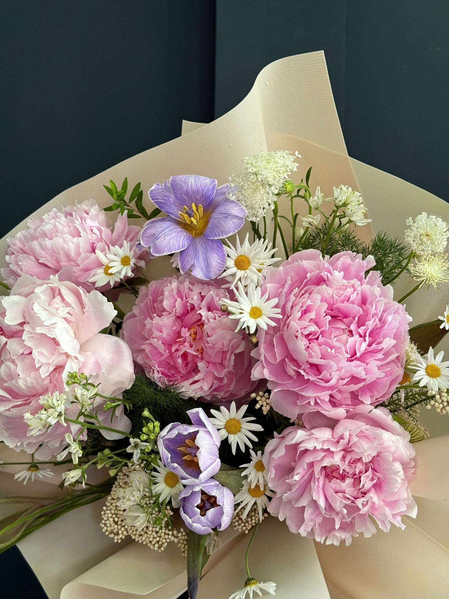 Peony 1