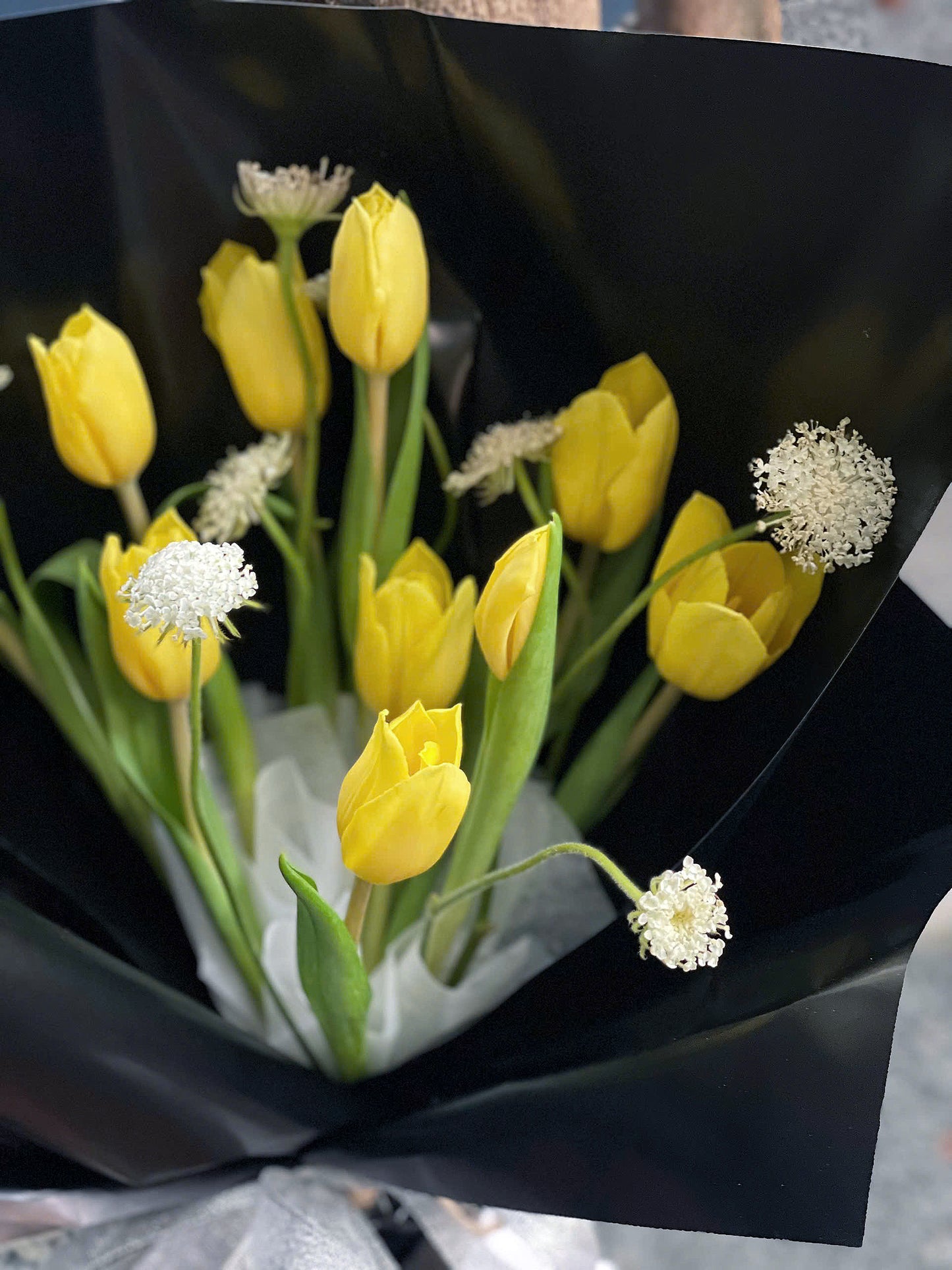 Tulip 2