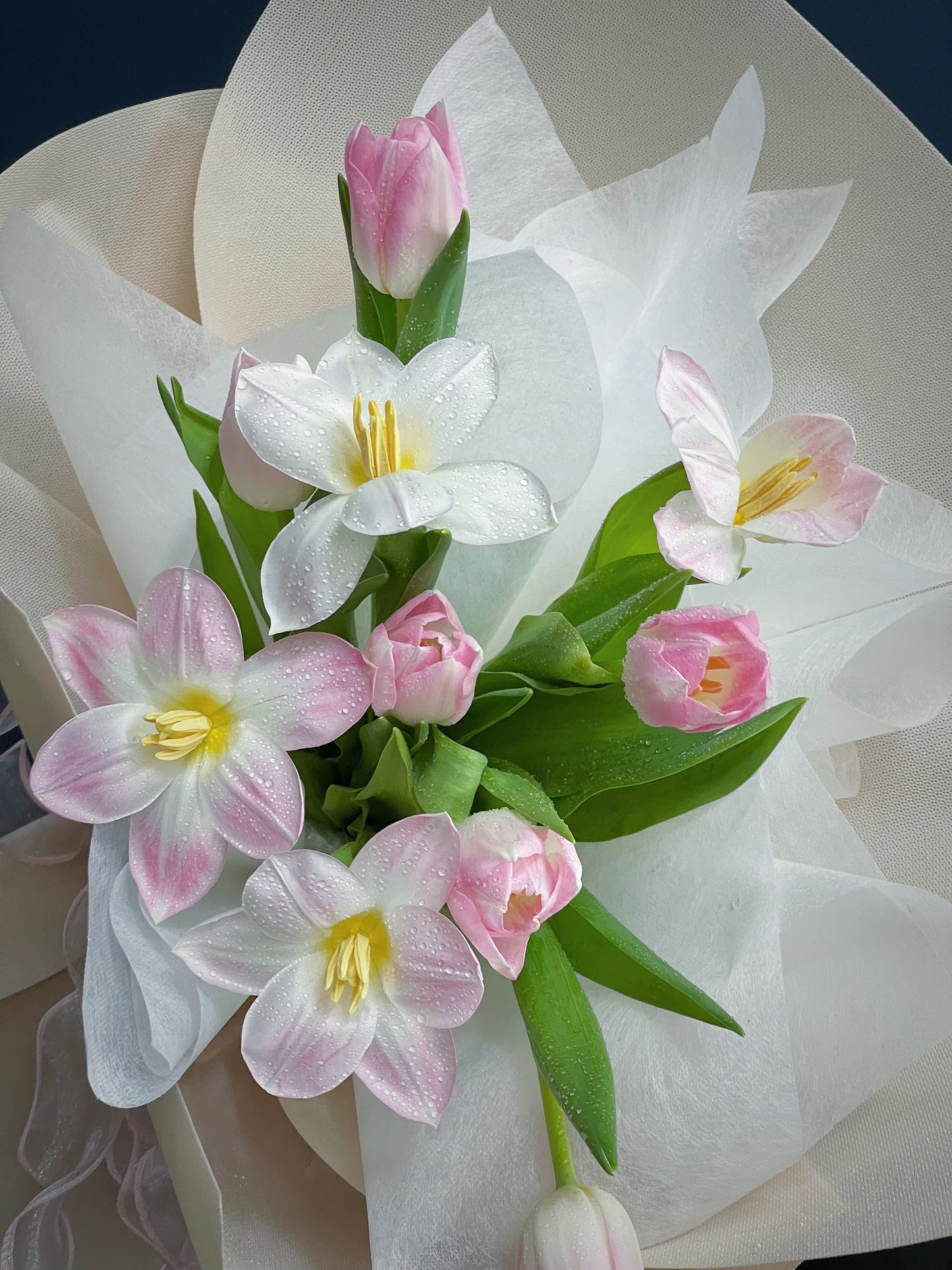 Tulip 1